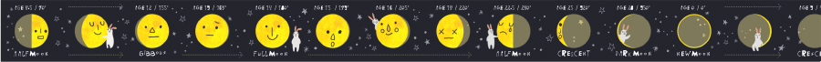 【ネット】Gift Box用mt for kids 月