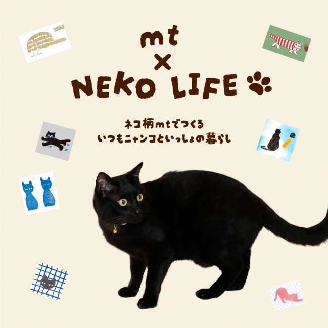 mt × NEKO LIFE